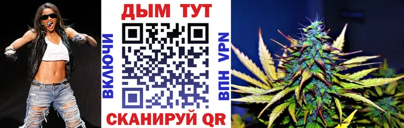 Где продают наркотики Дятьково Псилоцибиновые грибы  Кокаин  Меф  Alpha-PVP  Бошки Шишки  ГАШ 