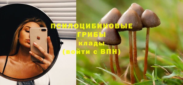синтетический гашиш Дмитров