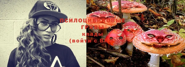 jwh Дмитровск