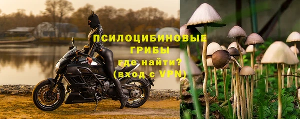 jwh Дмитровск