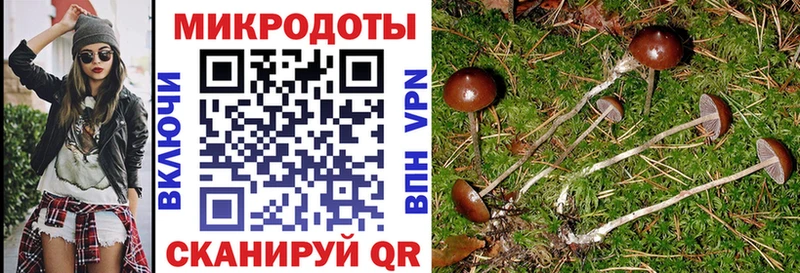 купить наркотик  Дятьково  Галлюциногенные грибы мухоморы 
