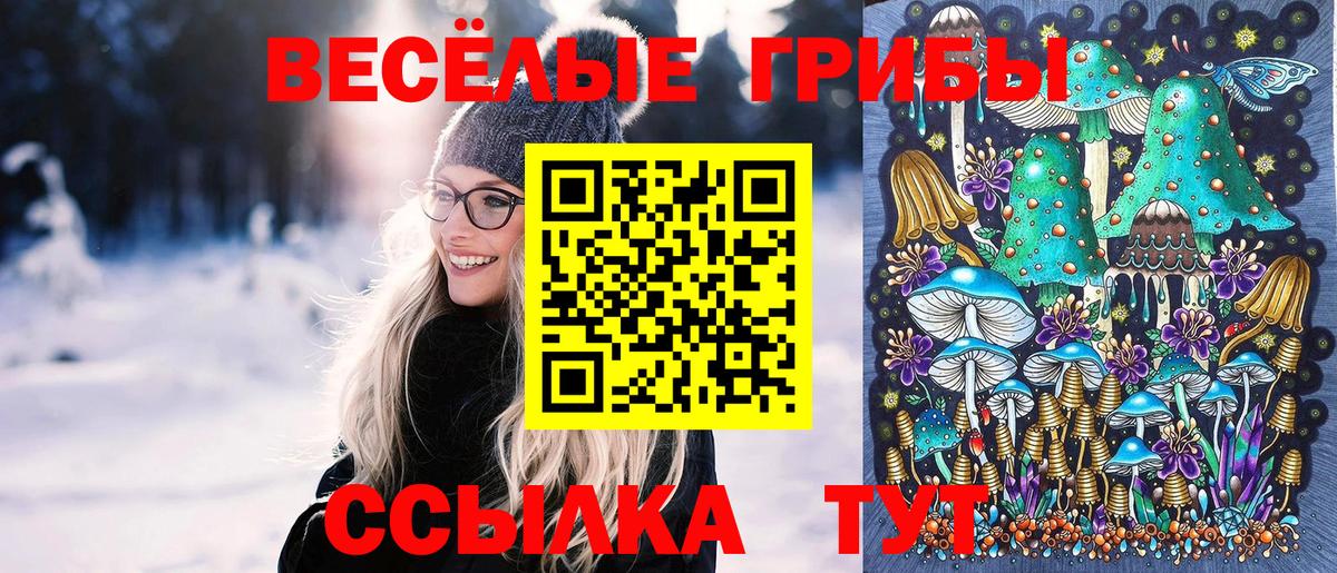 Дятьково  Псилоцибиновые грибы мицелий  наркотики  Галлюциногенные грибы ЛСД  Вход с VPN 